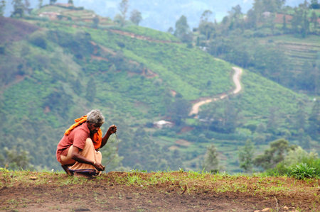 Unidentified farmer handles agricultural planting in the surrounding area of Nuwara Eliya city.のeditorial素材