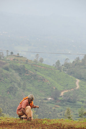 Unidentified farmer handles agricultural planting in the surrounding area of Nuwara Eliya city.