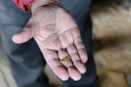 A gold nugget was found at the mine in Tierra del Fuego.のeditorial素材