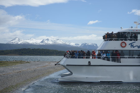 Tourists observe Magellanic penguins in the Beagle Strait.のeditorial素材