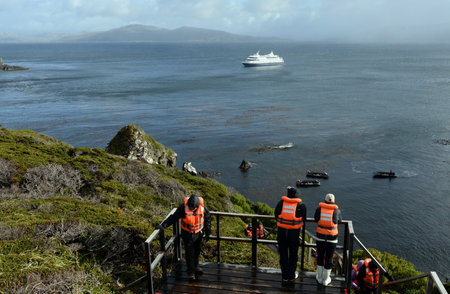 Tourists disembark from cruise ship on Cape horn.のeditorial素材