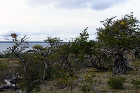 The Lago Blanco on the island of Tierra del Fuego.