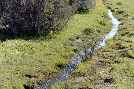 Stream in Tierra Del Fuego.のeditorial素材