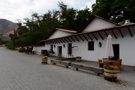 Chilean winery Santa Rita.のeditorial素材