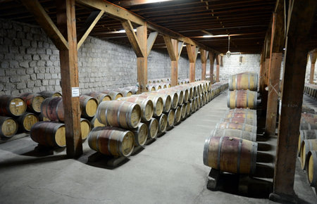 Wine barrels at the winery Santa Rita.