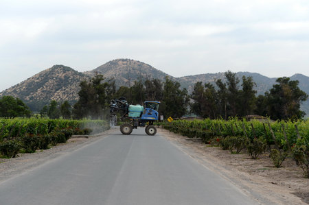 Vineyard Chilean winery Santa Rita.のeditorial素材