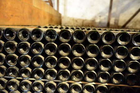 A bottle of wine in the cellar of the winery Santa Rita.