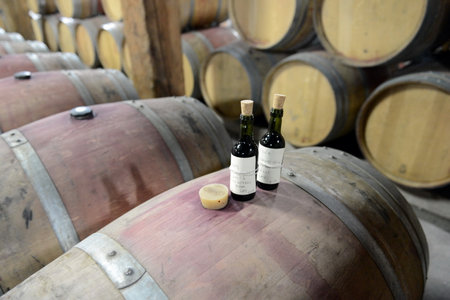 Quality control of wine at the winery Santa Rita.のeditorial素材