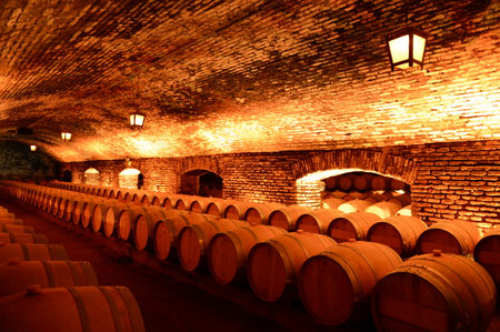 Wine barrels at the winery "Concho y Tora".のeditorial素材