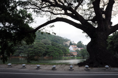 Kandy is a city in the Central part of Sri Lanka, one of the ancient capitals of the island. Included in the world heritage list of UNESCO.のeditorial素材