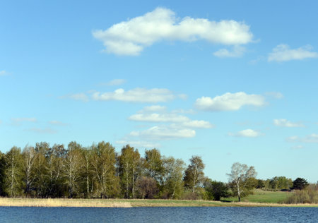 Lake Bolshoe Ostrovnoe. Altai region.のeditorial素材