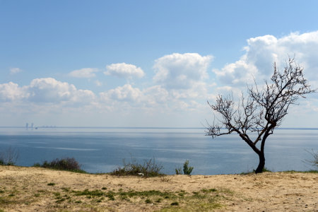 Tsimlyansk reservoir in the Rostov region.のeditorial素材