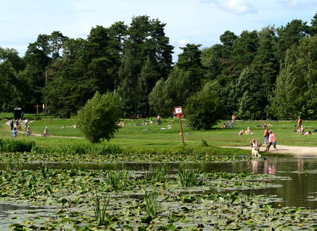 People are bathing dogs in the pond of the park "Kuzminki-Lublino"のeditorial素材