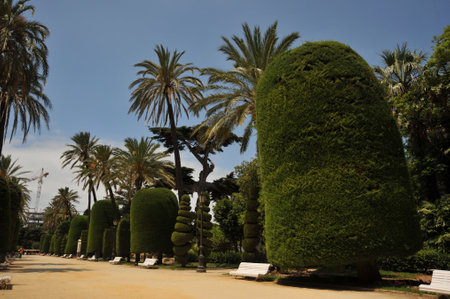 Parque Genoveses in the old part of the maritime city of Cadiz.のeditorial素材