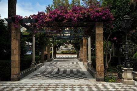 Parque Genoveses in the old part of the maritime city of Cadiz.の写真素材