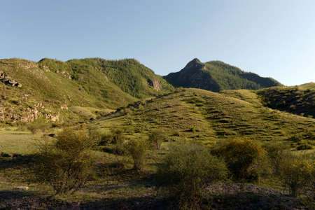 Big Yaloman. Mountain landscape in the area of ??the river. Mountain Altai