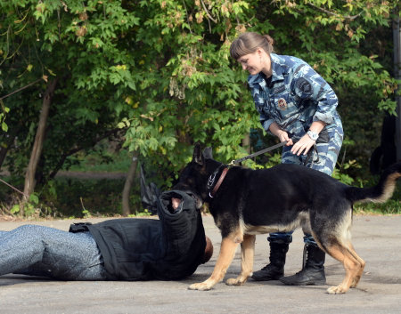 Dog training