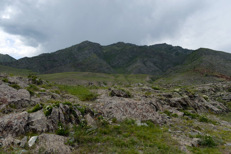 Kalbak-Tash tract, famous for petroglyphs with images of animals.のeditorial素材