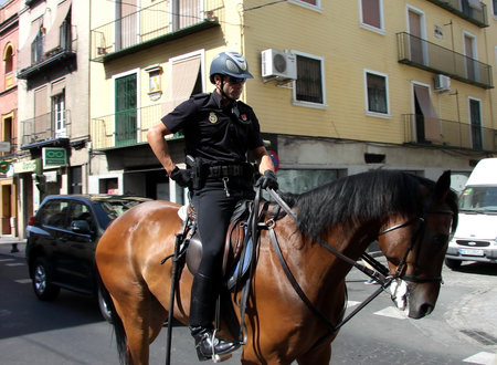 Horse cops on the street of sevilleのeditorial素材