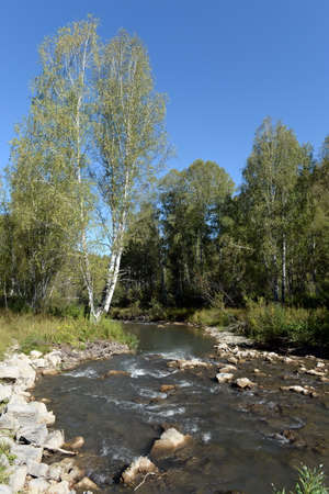 The Altai Territory in Western Siberia. Russia