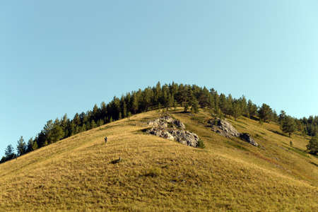 Early morning in the mountains of Altai Krai. Western siberiaの写真素材