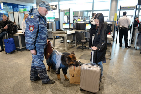 Police inspector-dog handler with a dog examine the Luggage of passengers at the international airport "Domodedovo" in Moscowのeditorial素材