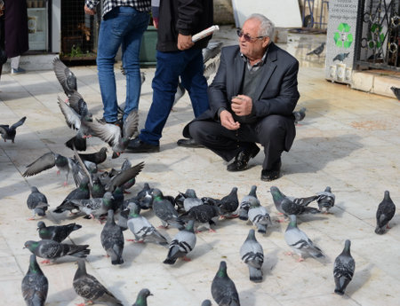 An unknown elderly man feeds pigeons at Eyup Sultan square in Istanbulのeditorial素材