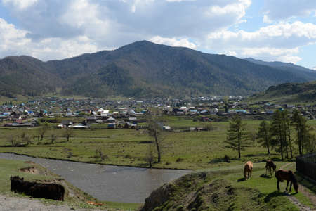 Horses graze on the outskirts of the village of Ongudai in the Altai Republicのeditorial素材