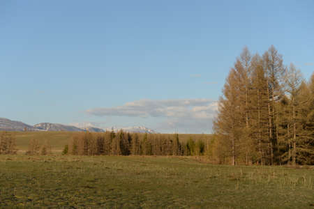 View of the Kurai steppe. Gorny Altai, Kosh-Agachsky district, Russiaの写真素材