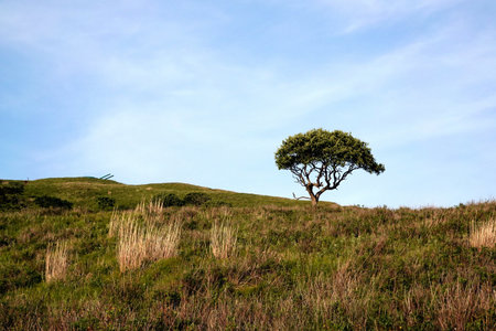 Askold Island in Peter the Great Bay. Primorsky Kraiの写真素材