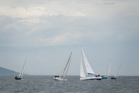 Yachts during a regatta in the Amur Bay near Vladivostok