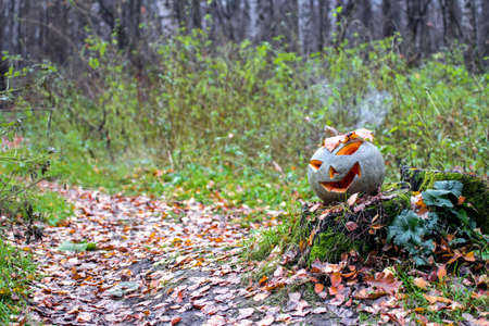 Halloween pumpkin with smoke in the forest. Lays on the stumpの写真素材