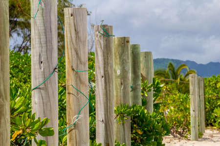 Wooden fence with wire with a tropical landscape 