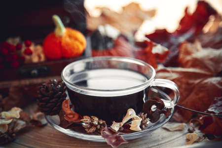 A cup of dark drink with the autumn backgroundの写真素材