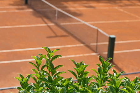 Tennis clay court with a gridの写真素材