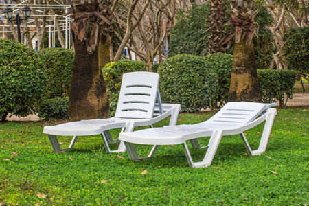 Two white  plastic sunbeds in the tropical gardenの写真素材