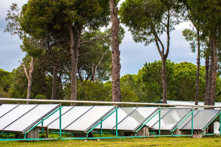 Sun accumulating batteries among the green treesの写真素材