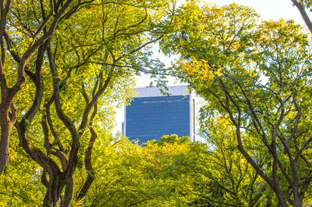 View from the Central Park of New York to skyscrappersの写真素材