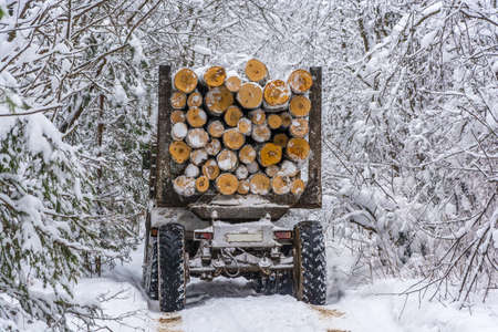 Log truck, heavily loaded with logs, going on snow, forest road の写真素材