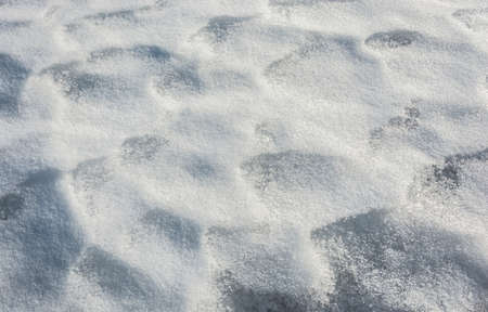 Beautiful snow texture  Small icicles Shine brightly in the sunlight 