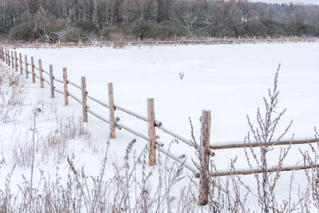 A small, snow-covered field enclosed with a wooden fence on the edge of the forest.の写真素材