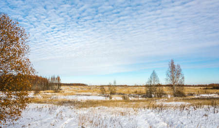 Winter landscape with yellow grass on the background of white snow.の写真素材