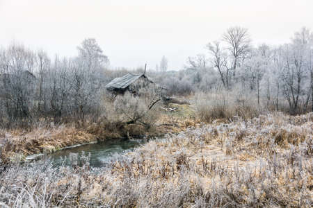 Frosty autumn day, the grass and trees covered with frost.の写真素材
