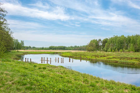 Old wooden piles on a small quiet river flowing through the field