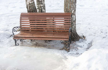 A bench to rest, standing at three birches in winter day.