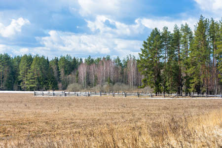 Rural landscape in early spring. Pastures for cattle fenced with a wooden fence.の写真素材