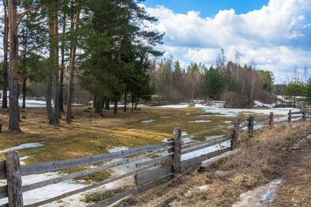 Rural landscape in early spring. Pastures for cattle fenced with a wooden fence.の写真素材