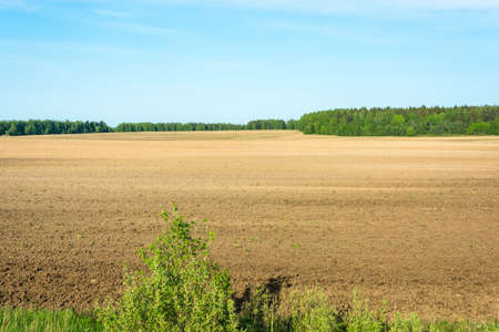 Large plowed field framed by the green of a forest on a Sunny day.の写真素材