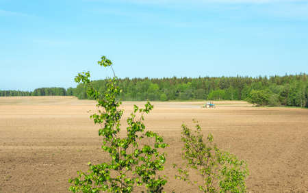 Large plowed field framed by the green of a forest on a Sunny day.の写真素材