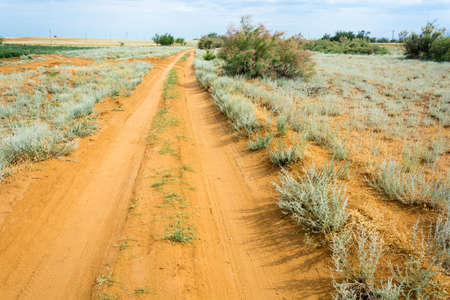 Orange dirt steppe road, disappearing into the distance.の写真素材